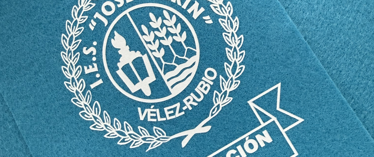 Graduación IES